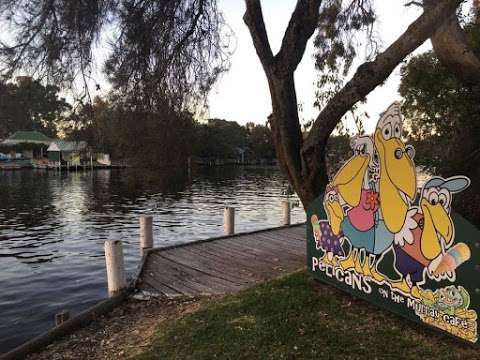 Photo: Pelicans on the Murray Cafe